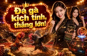 Ảnh giao diện Đá Gà bpmarketingpro